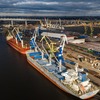 Sea Port of Saint-Petersburg increased its throughput by 17%